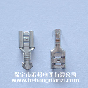 6.3���(�����o��)