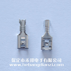 4.8���(�����o��)