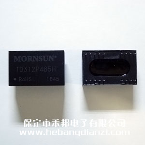 485���xģ�K TD312P485H