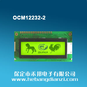 OCM12232-2 �S�G��5V