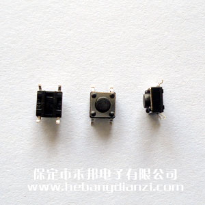 �Nʽ�p�|�_�P6*6*4.3mm 