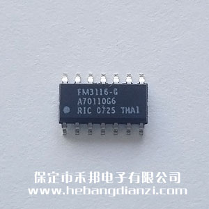 FM3116-G ����