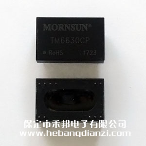 ���x׃���� TM6630CP