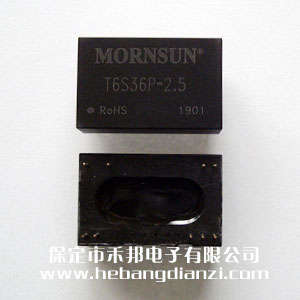 ���x׃���� T6S36P-2.5