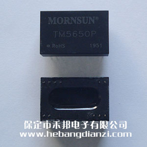 ���x׃���� TM5650P