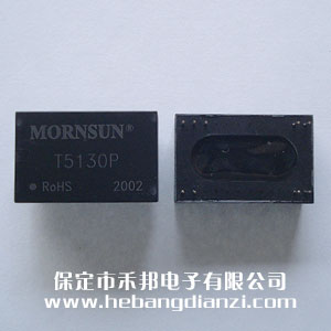 ���x׃���� T5130P