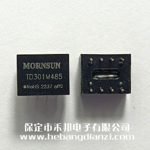 485���xģ�K TD301M485