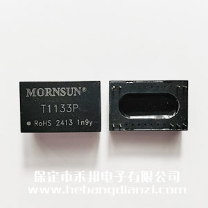 ���x׃���� T1133P