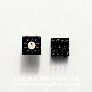 編碼開(kāi)關(guān)0-9 直插